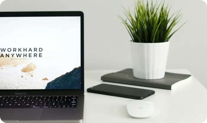 A laptop alongside a plant, some books and a mouse.