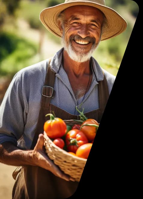 A man with a basket of tomatos