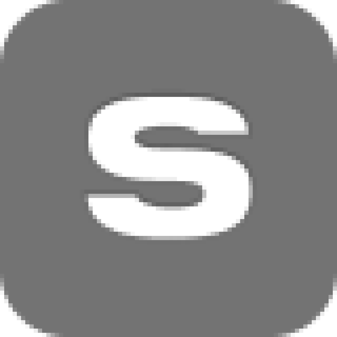 Entity Type S Icon