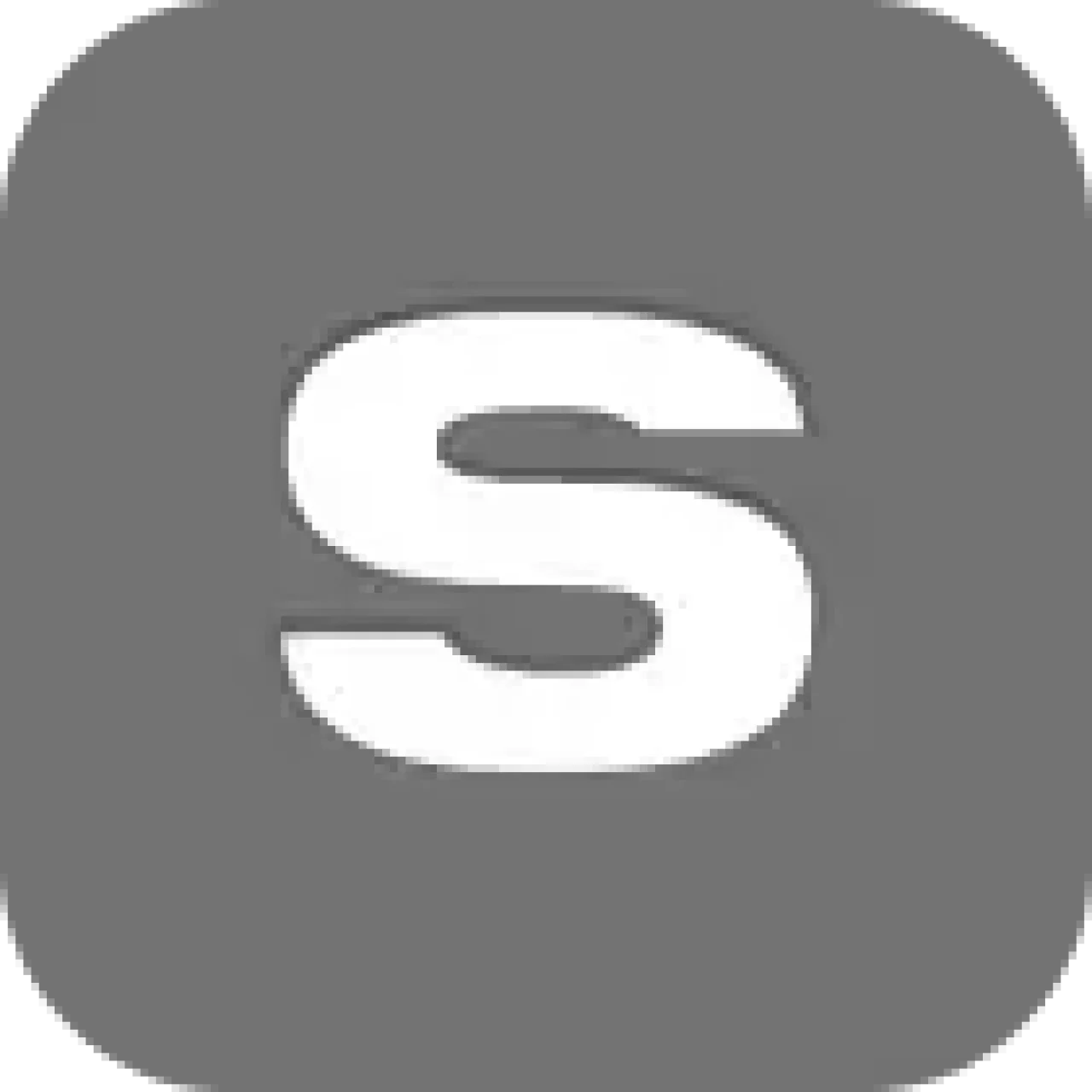 S Corp